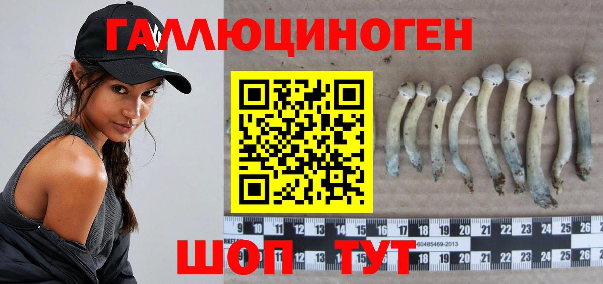 Галлюциногенные грибы MAGIC MUSHROOMS Улан-Удэ
