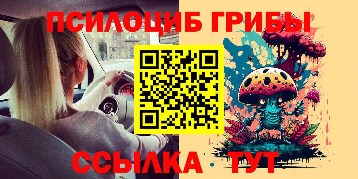 Улан-Удэ  Псилоцибиновые грибы мицелий  Вход с VPN 